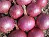 Hybrid Onion