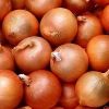 Brown Onion in Morbi