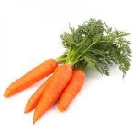 Fresh Carrot