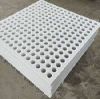 Perforated Plastic Sheet