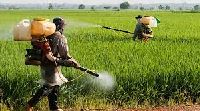 Pesticides & Insecticides