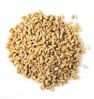 Animal Feed Wheat Seeds