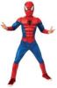 Spiderman Costume