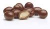 Chocolate Peanuts