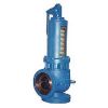 Safety Relief Valves in Pune