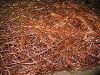 Copper Scrap in Delhi