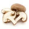 Mushroom in Mysore