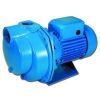 Irrigation Pumps in Pune