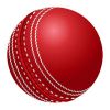 Cricket Ball in Jalandhar