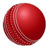 Cricket Ball in Delhi