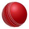 Cricket Ball