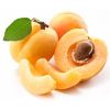 Fresh Apricots in Shimla