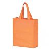 Carry Bags in Aurangabad