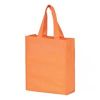 Carry Bags in Muzaffarnagar