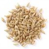 Barley in Patan