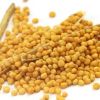 Mustard Seeds in Karnal