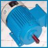 Induction Motor in Ghaziabad