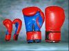 Boxing Gloves / Punching Gloves in Meerut