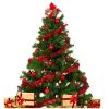 Christmas Tree  in Firozabad