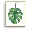 Palm Leaf Paintings