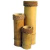 Bamboo Vases in Siliguri