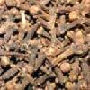 Clove Oil in Kanpur