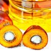 Palm Oil in Thrissur