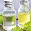Peppermint Oil  in Kanpur