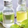 Peppermint Oil  in Ghaziabad