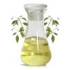 Camphor Oil in Ahmedabad
