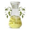 Camphor Oil in Kanpur