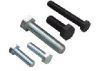 Hex Bolts in Noida