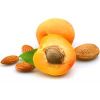Apricot Kernel in Srinagar