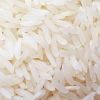White Rice in Karnal