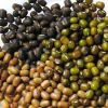 Sabut Urad Dal / Whole Black Gram in Rajkot