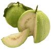 Guava in Dindigul