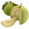 Guava in Vellore
