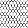 Chain Link Fence in Raipur