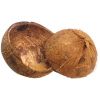 Coconut Shell