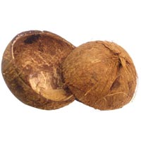 Coconut Shell - Crushed Coconut Shell Latest Price, Manufacturers &  Suppliers