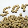 Soybean Seed in Delhi