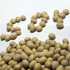 Soybean Seed in Hyderabad