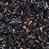 Niger Seeds in Indore