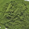 Wheatgrass Powder in Bangalore