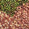 Vegetable Seeds in Theni