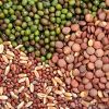 Vegetable Seeds in Davanagere