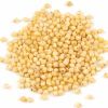 Millet Seed in Nagpur