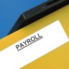 Payroll Software in Pune