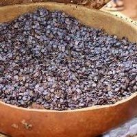 Locust Beans - Get Latest Price & Mandi rates from Dealers & Traders ...