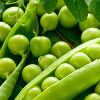 Green Peas in Akola